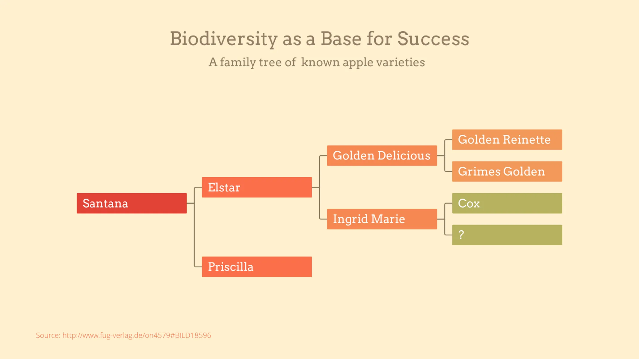 Organizational Chart example: Biodiversity as a Base for Success