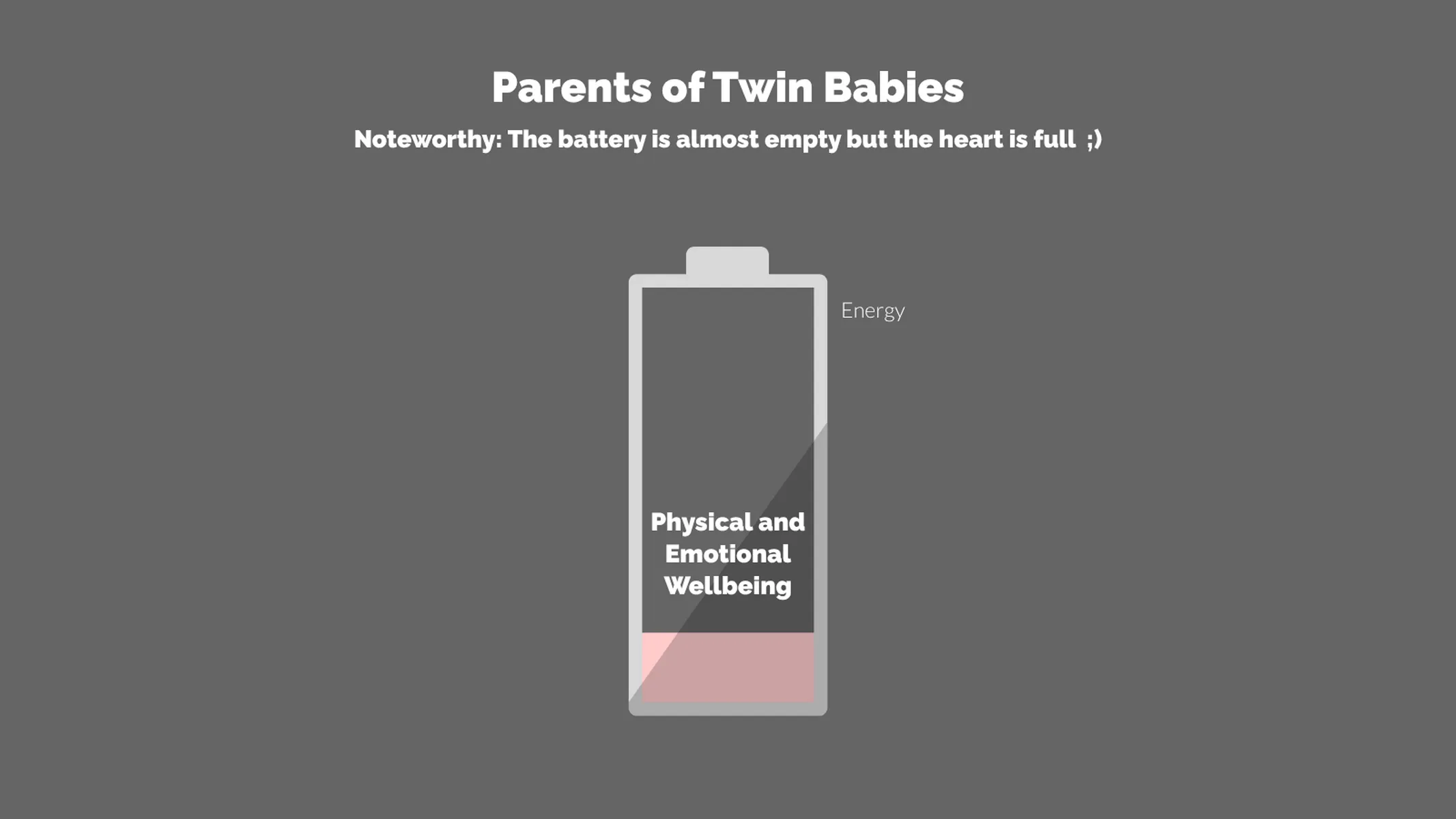 Batteriediagramm-Beispiel: Parents of Twin Babies