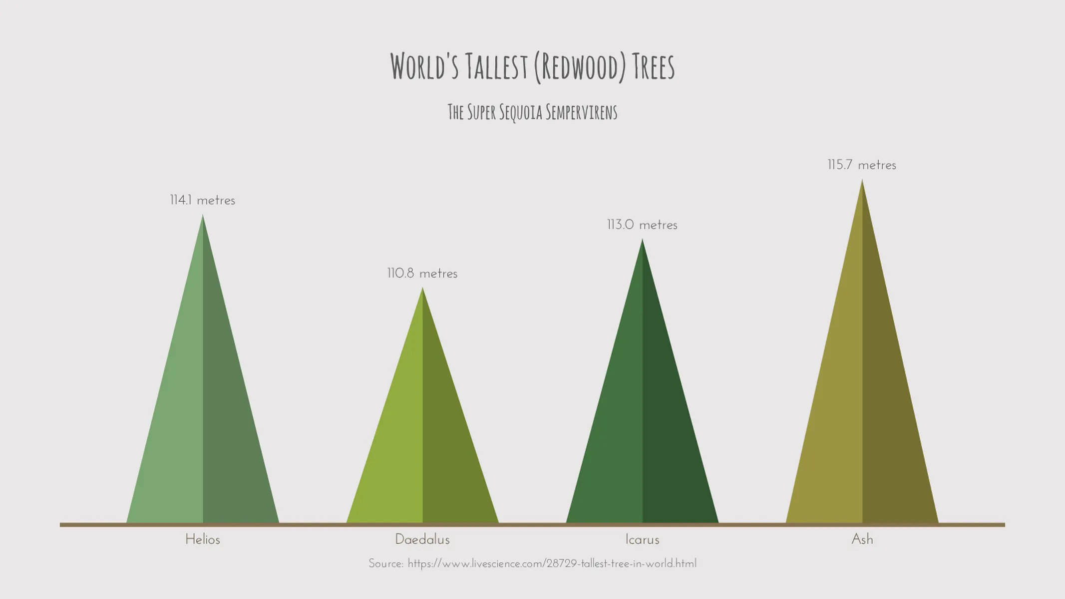 Triangle Bar Chart example: World's Tallest (Redwood) Trees